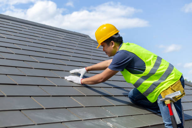 Best Roof Gutter Cleaning  in Glendale, MS