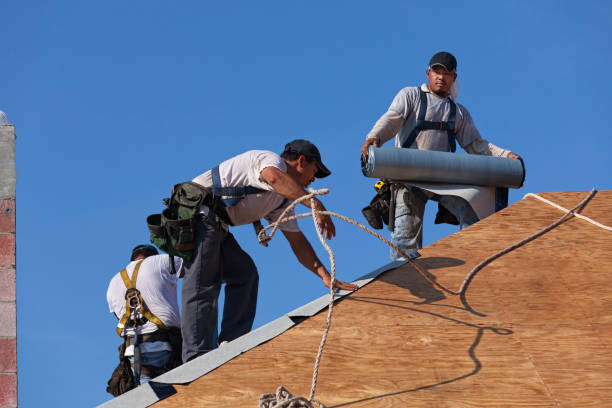 Best Roof Waterproofing Services  in Glendale, MS
