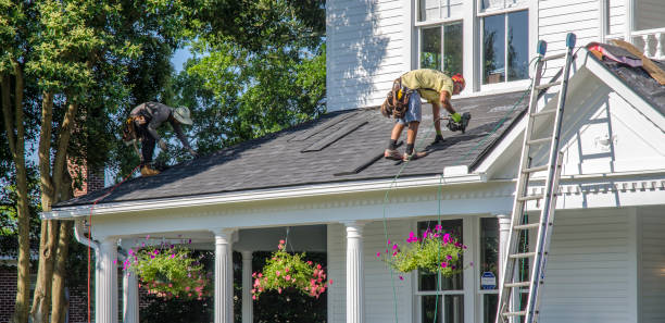 Best Shingle Roofing Installation  in Glendale, MS